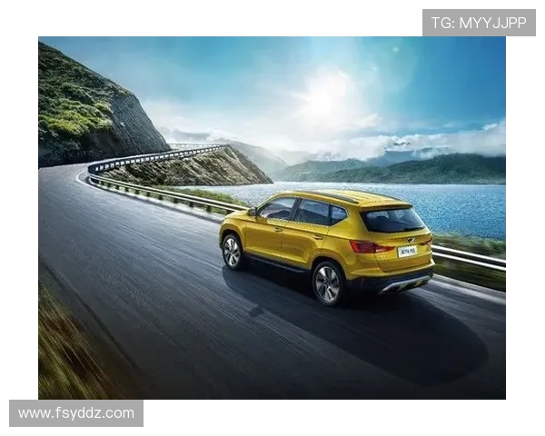 vs通行码价格揭秘及购买渠道详解让你轻松出行无忧 vs通行码价格揭秘及购买渠道详解让你轻松出行无忧